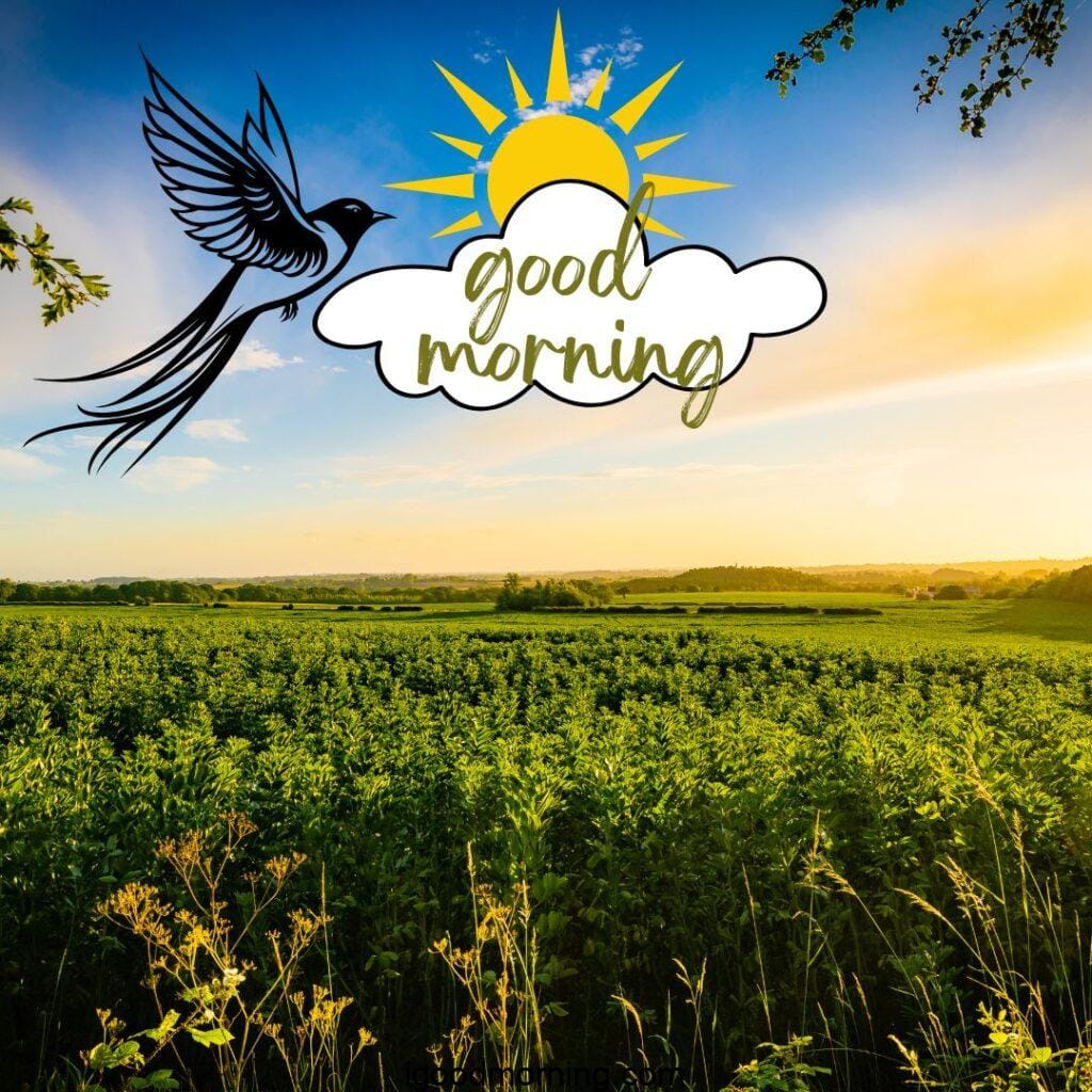 good morning images for whatsapp 11 Good Morning Images For Whatsapp