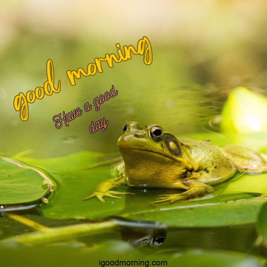 good morning images for whatsapp 15 Good Morning Images For Whatsapp