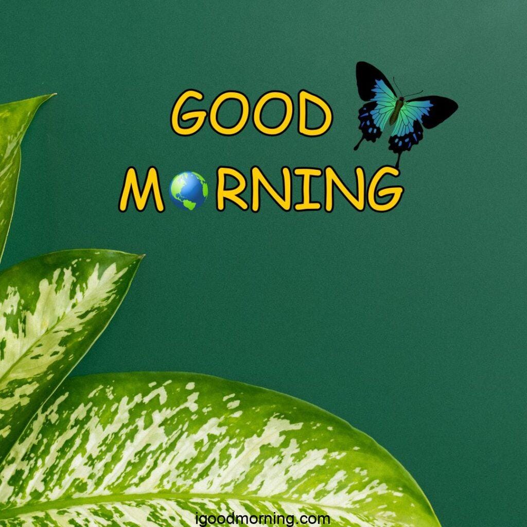 good morning images for whatsapp 18 Good Morning Images For Whatsapp