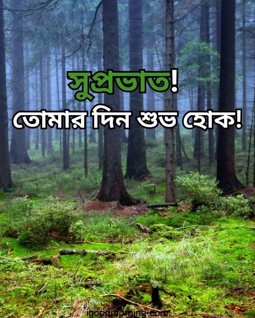 good morning nature images with quotes