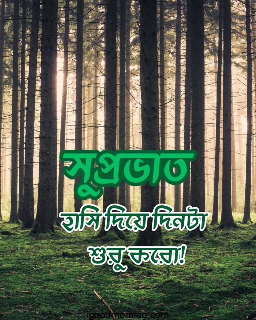 good morning forest images with quotes