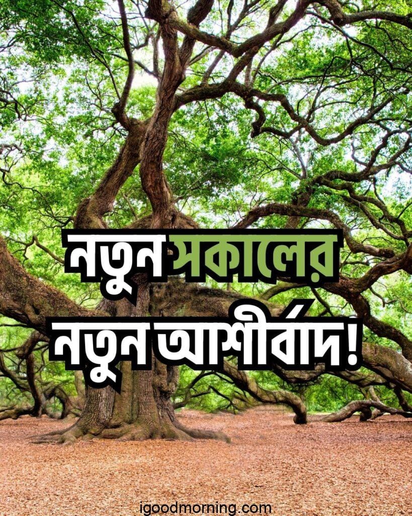 good morning nature images 15 Good Morning Nature Images