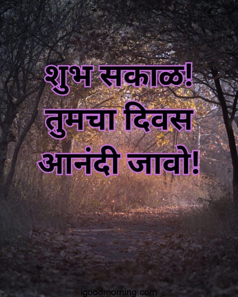 good morning forest photos