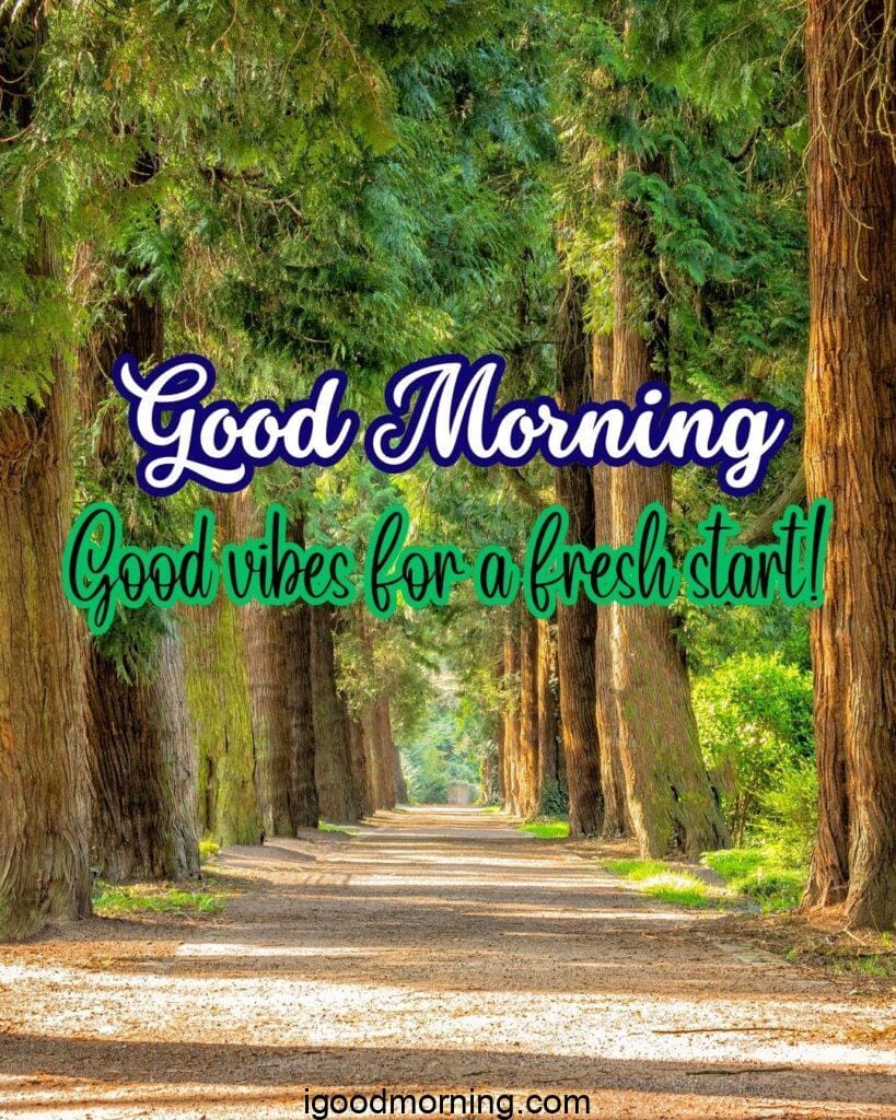 good morning nature images hd for whatsapp