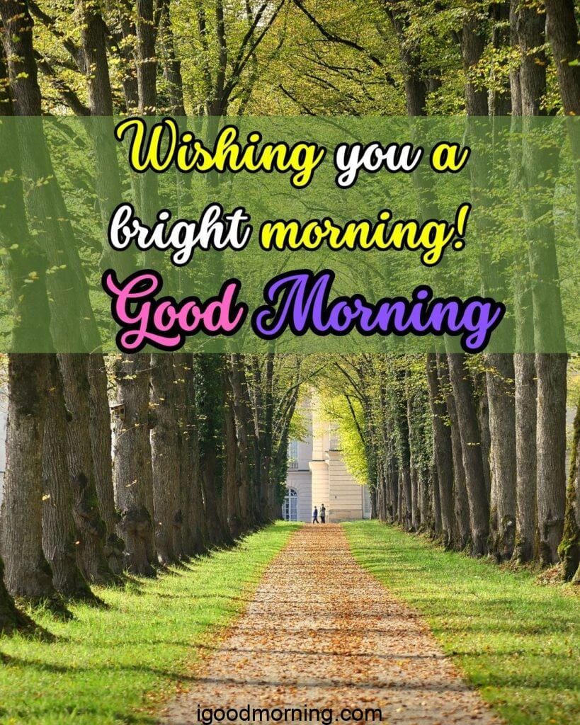 good morning nature images with quotes