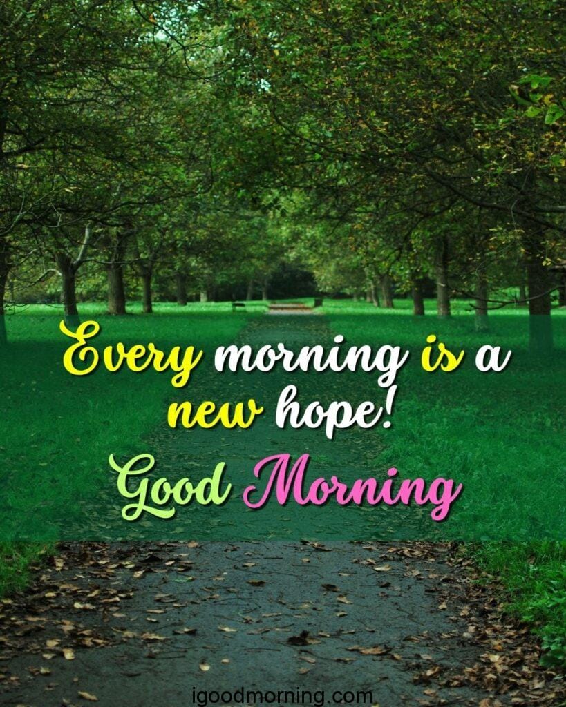 good morning nature images real