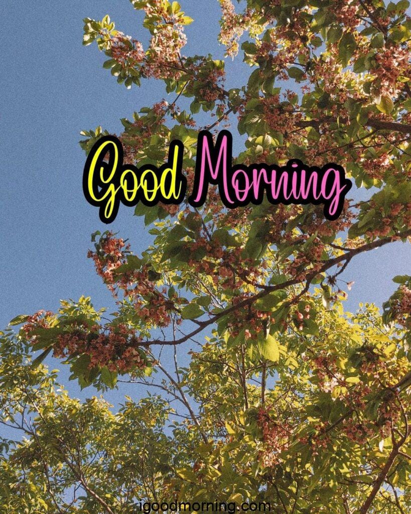 beautiful tree and leaf good morning