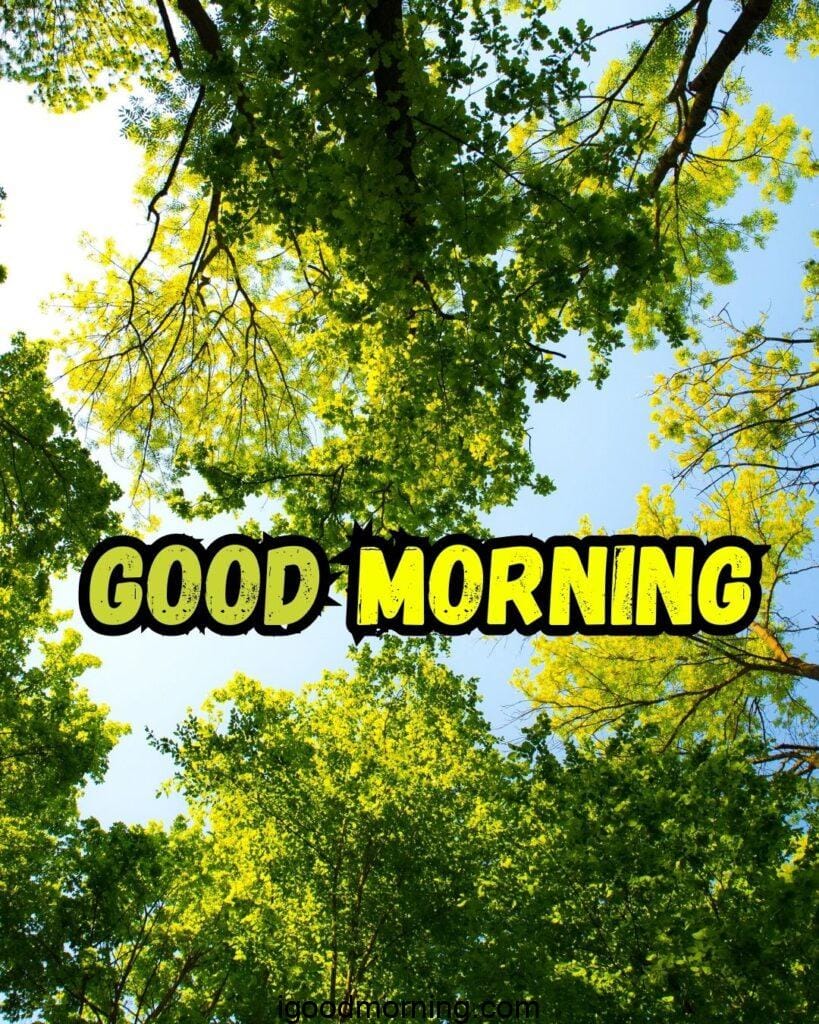 green nature images