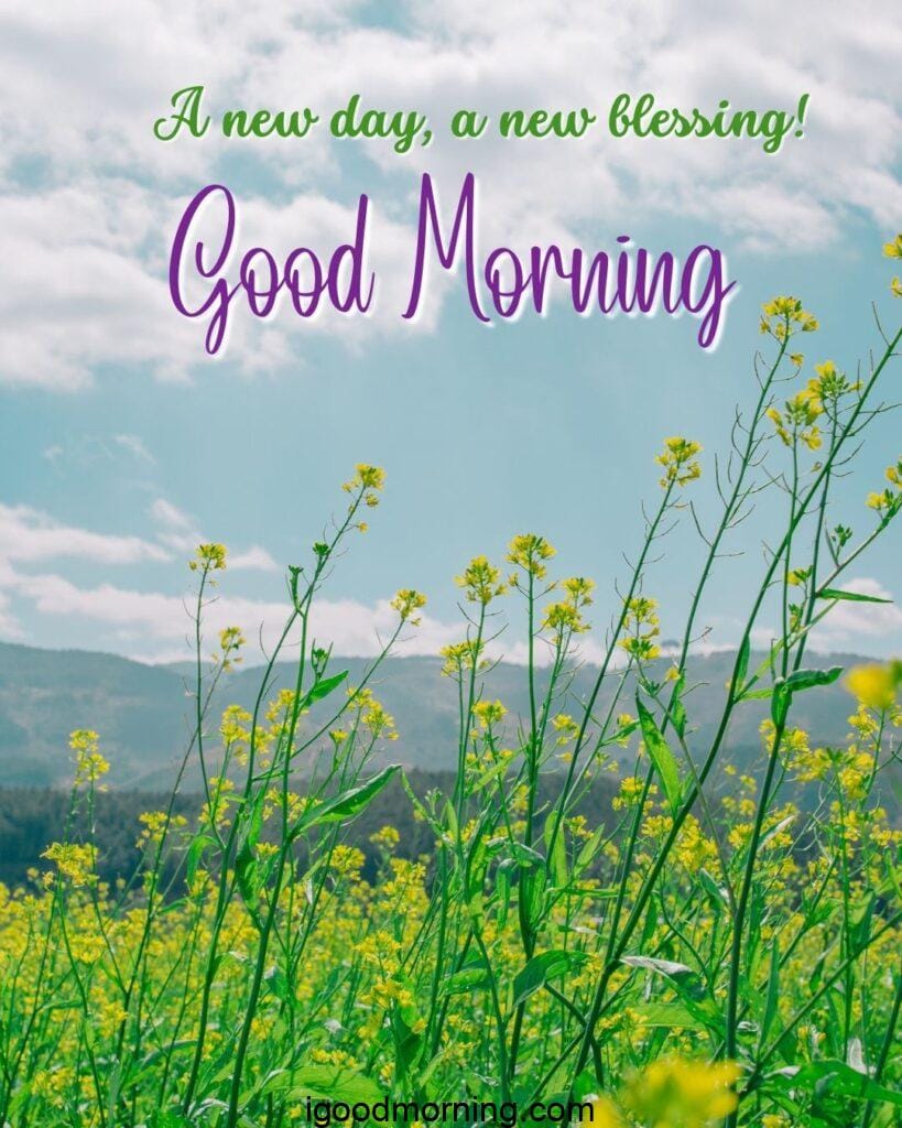 nature scenery wallpaper