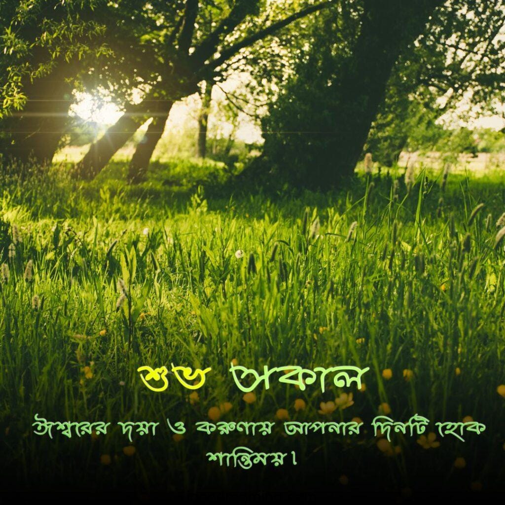 sunrise green nature picture