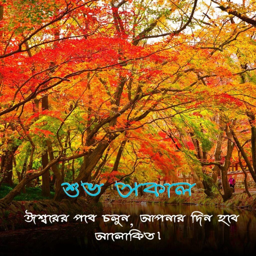 good morning beautiful nature bengali images
