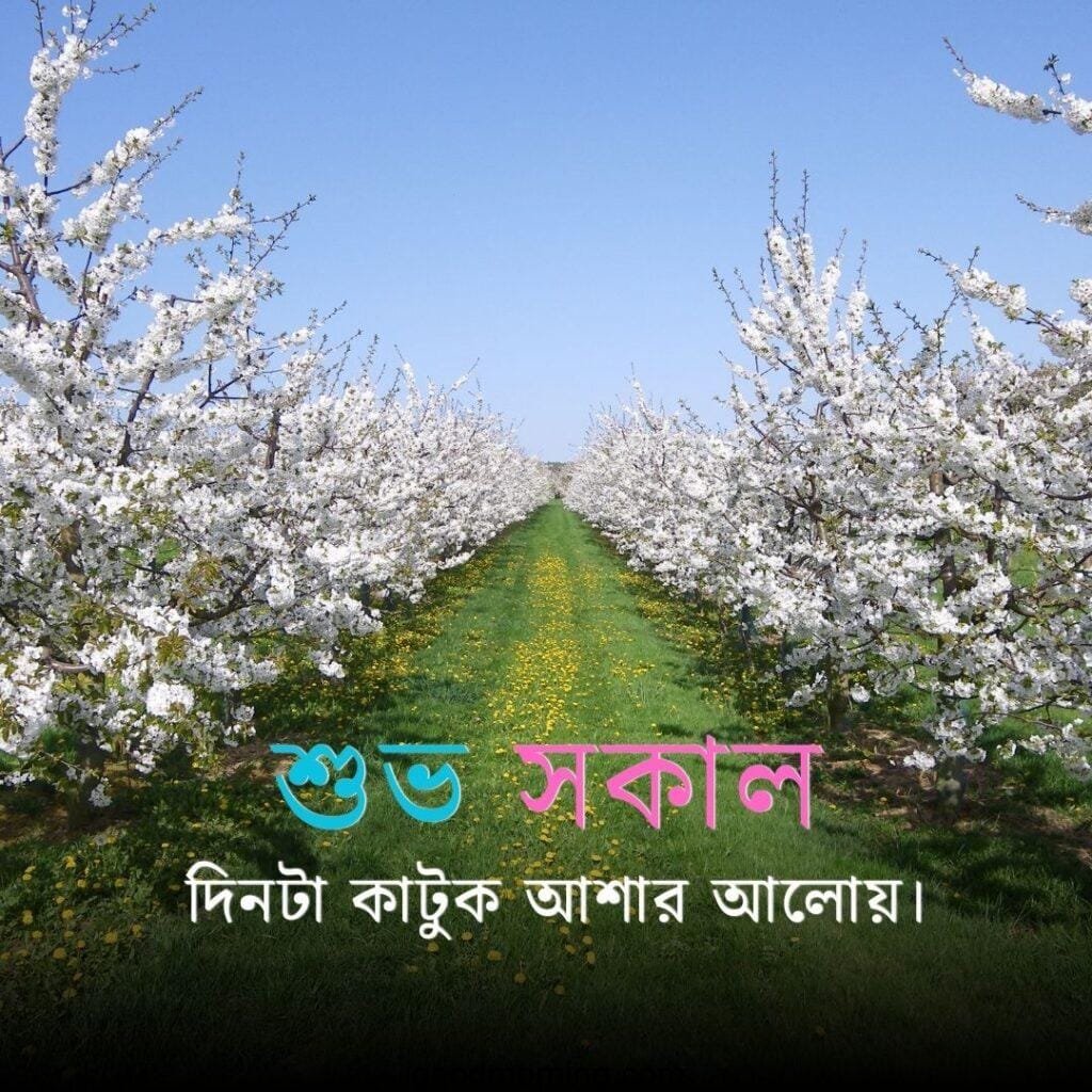 good morning nature images 58 Good Morning Nature Images