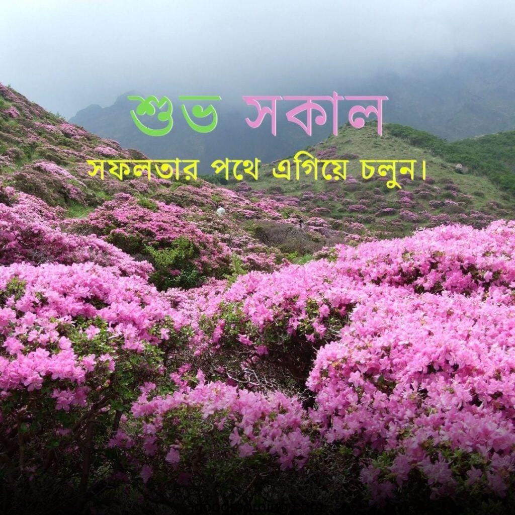 good morning bengali wishes
