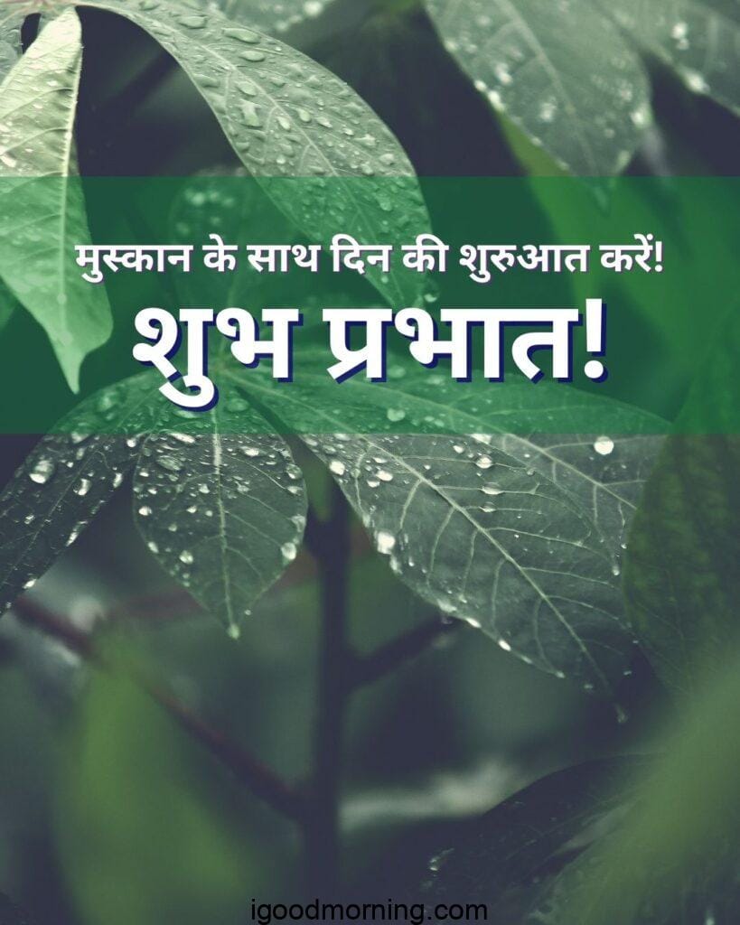 Good Morning Nature Images with hindi wihses