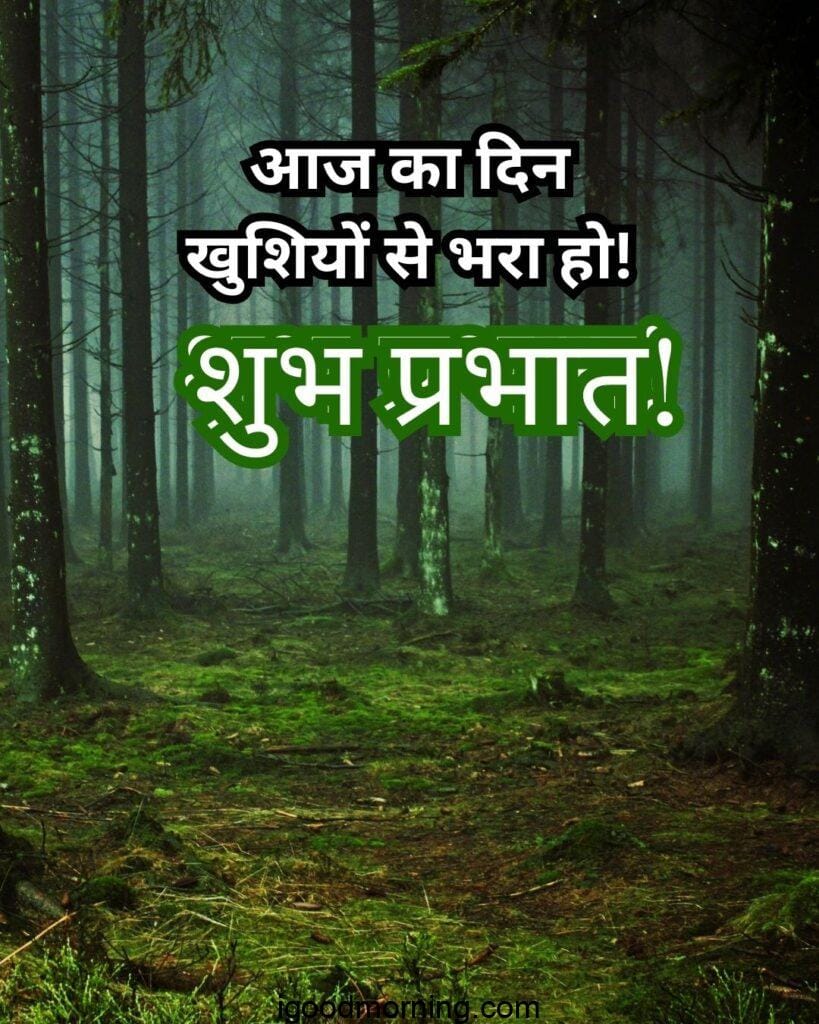 dark forest images with Good Morning Nature wishes