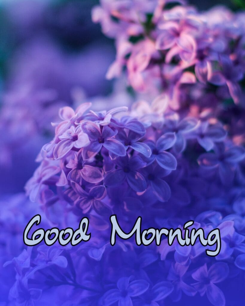 Close-up of soft purple lilac flowers with a blurred background, creating a calming atmosphere. The words "Good Morning" are written in elegant script.