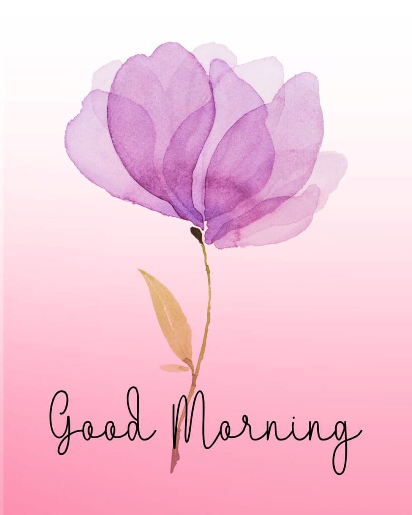 new good morning flowers images