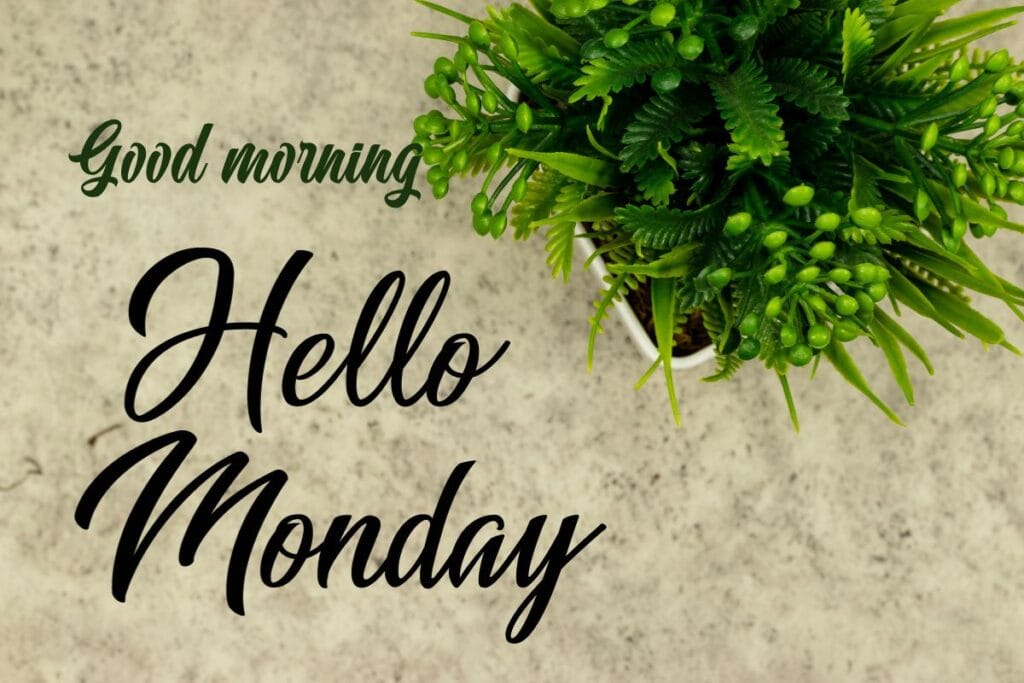 Monday morning blessings image with spiritual quote and sunlight