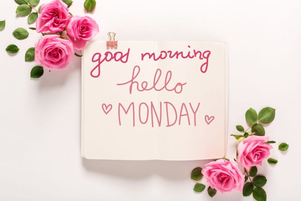 Beautiful Monday morning image with fresh flowers and good wishes
