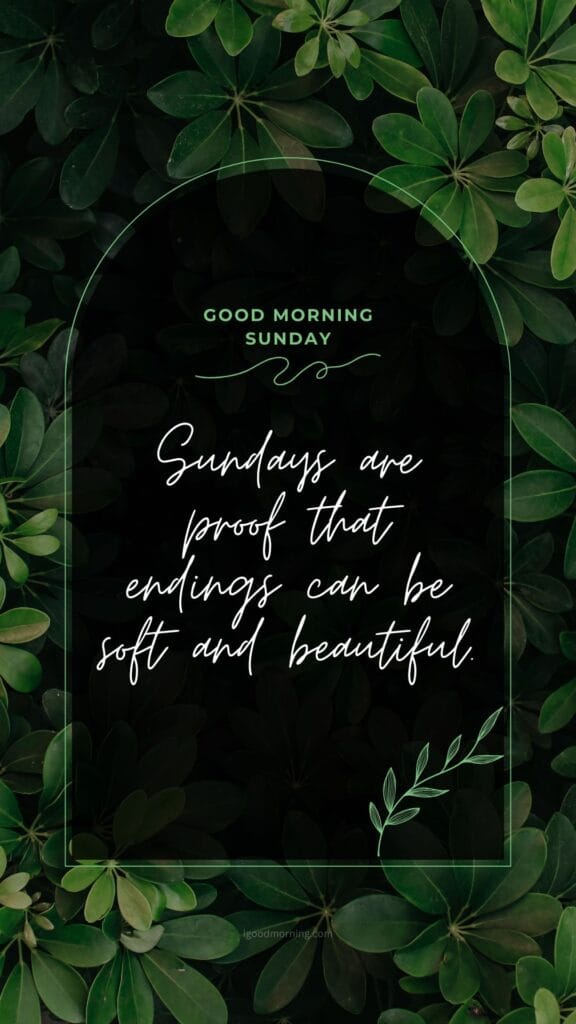 Good morning, Sunday! A nature touch image