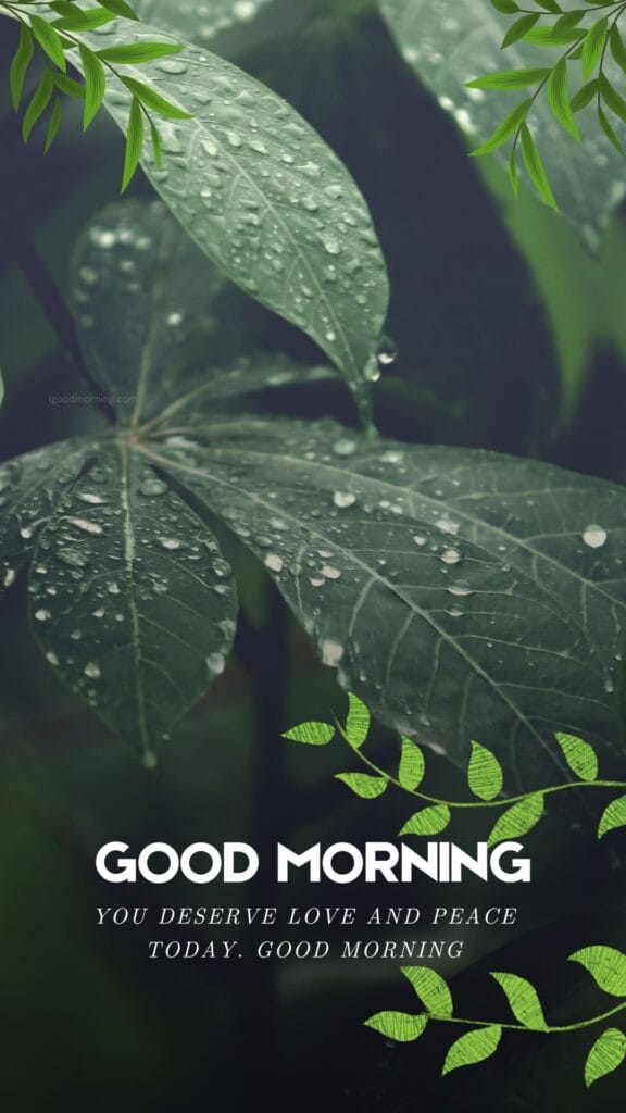 Good Morning Sunday Messages