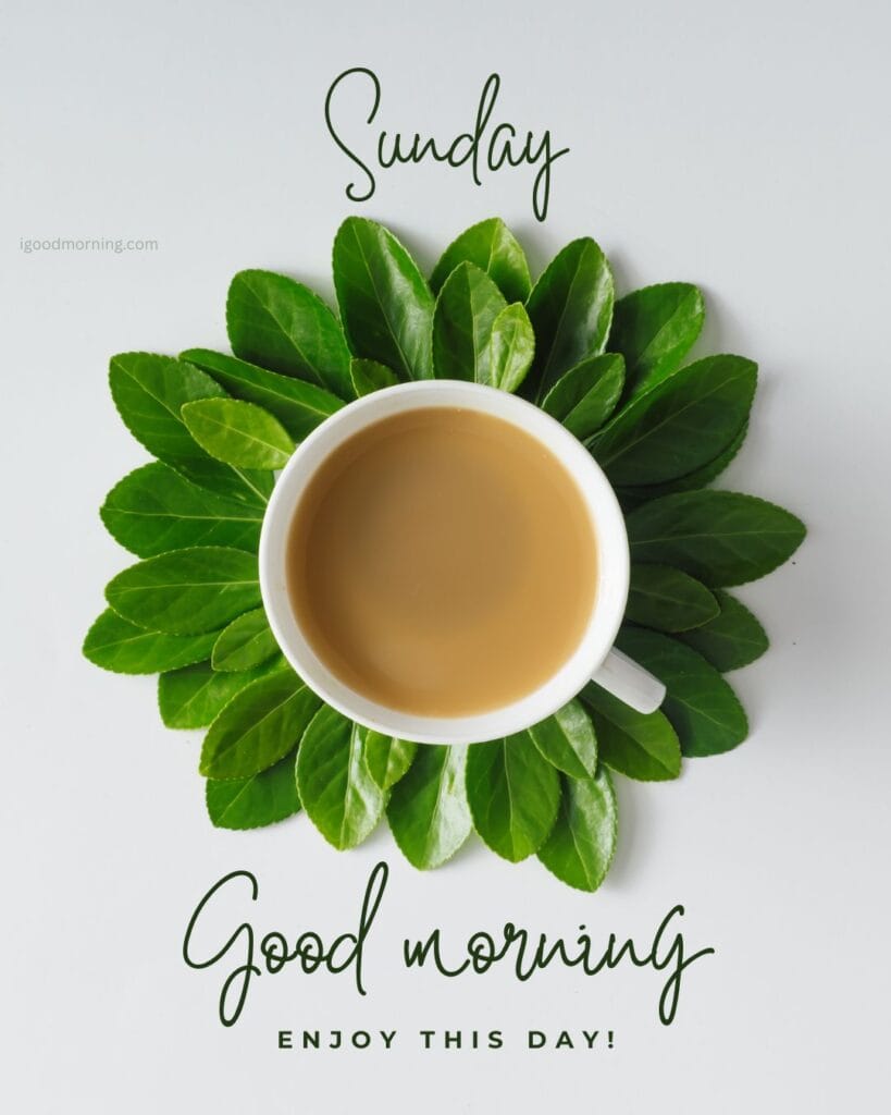 warm cup of coffee and a touch of nature