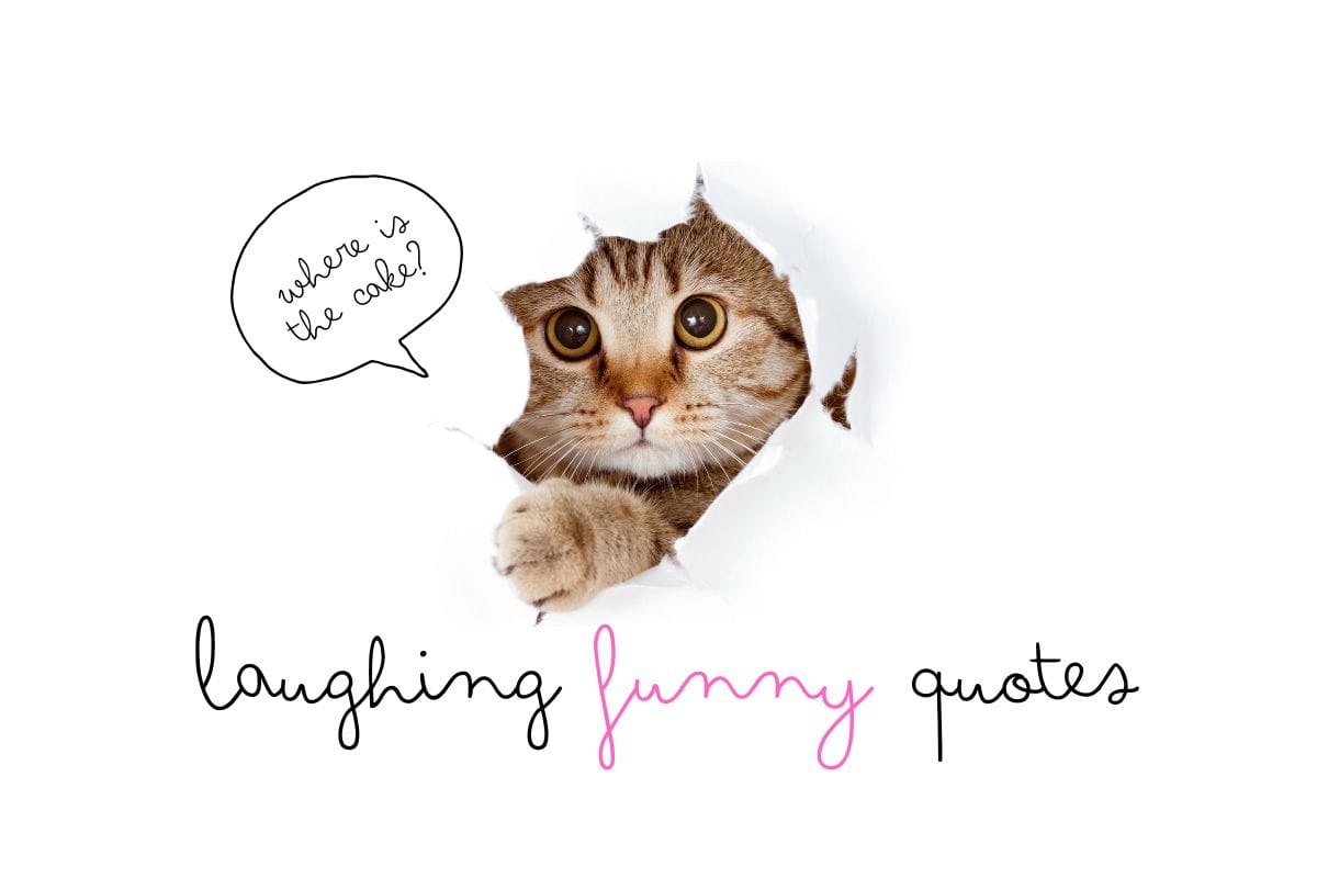 memes laughing funny quotes about friends