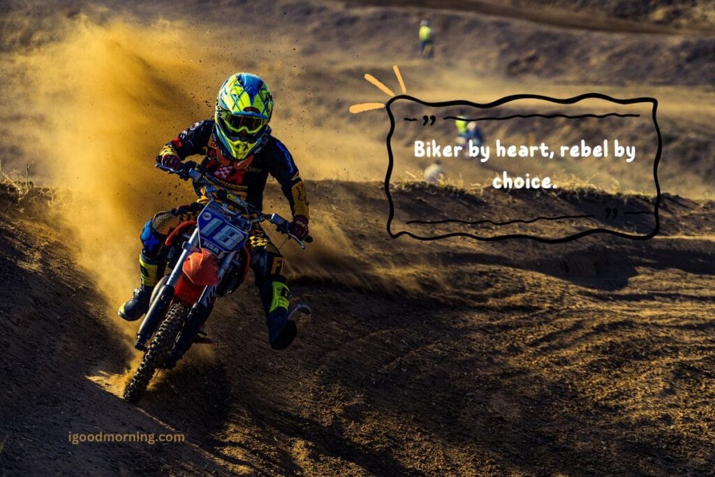 bike love quotes 4 bike love quotes