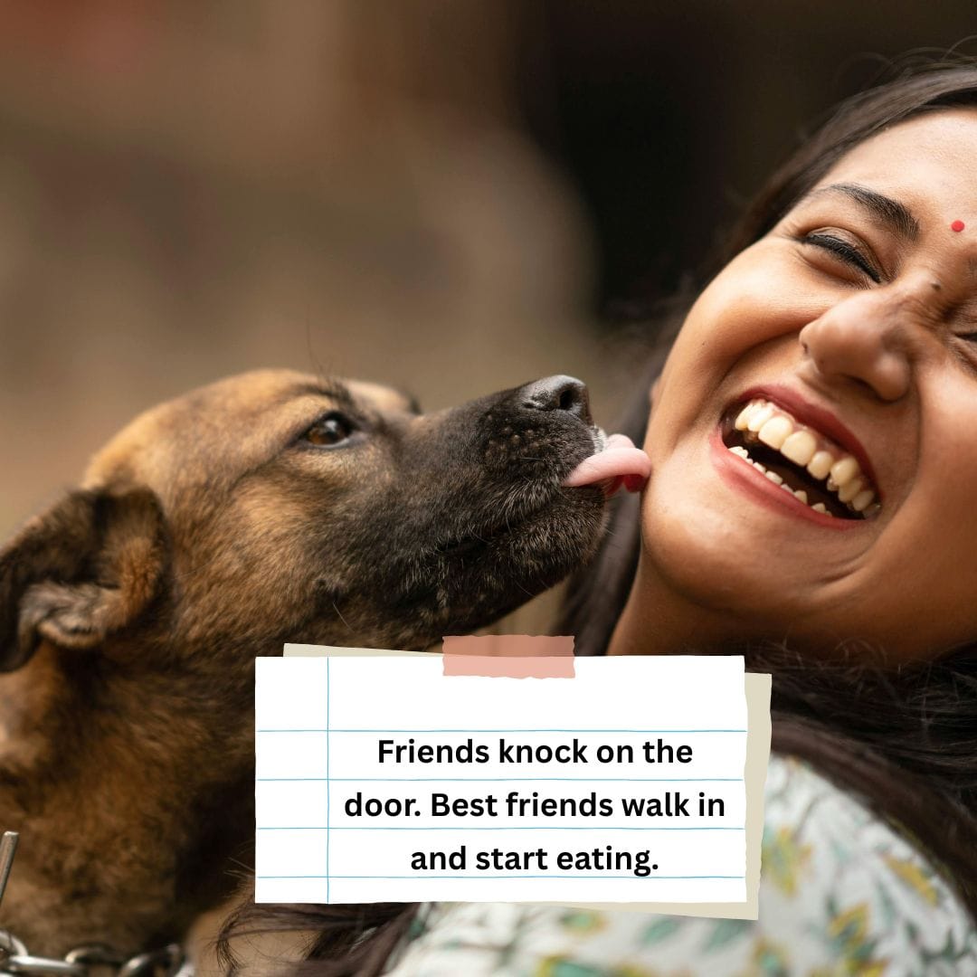 laughing-funny-quotes-about-friends (14) crazy laughing funny quotes about friends