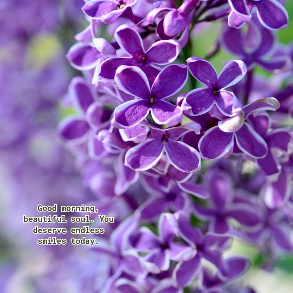 Sweet Good Morning Message for a Friend to Make Her Smile