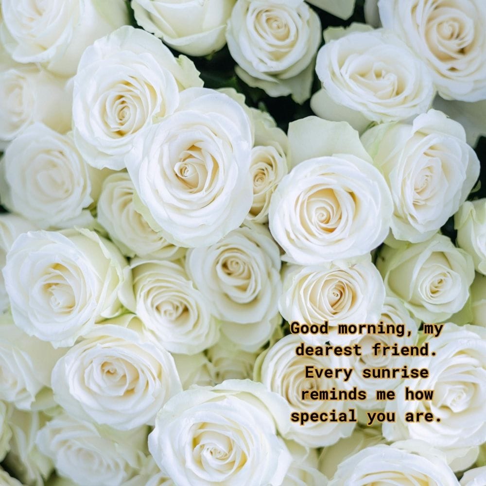 Good Morning Message for a Friend to Fall in Love