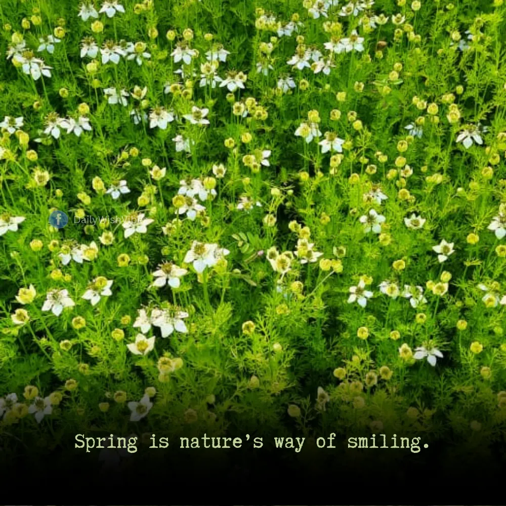 spring season quotes 1 Spring Season Quotes