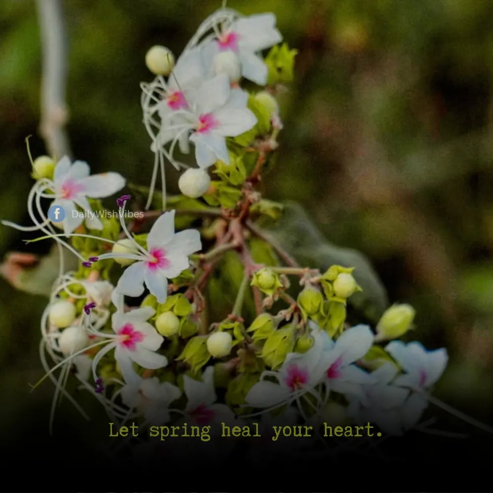 spring season quotes 11 Spring Season Quotes