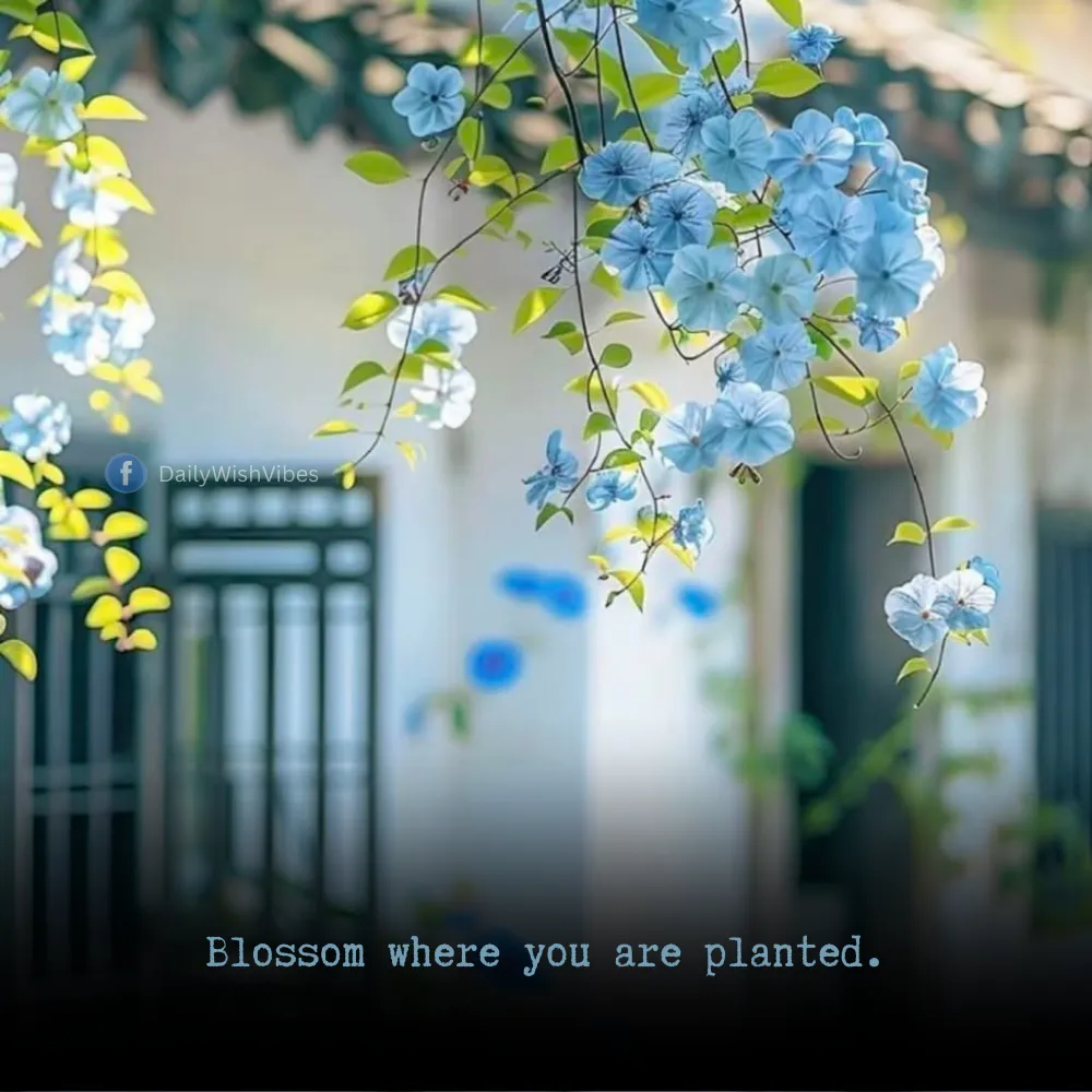 spring season quotes 12 Spring Season Quotes