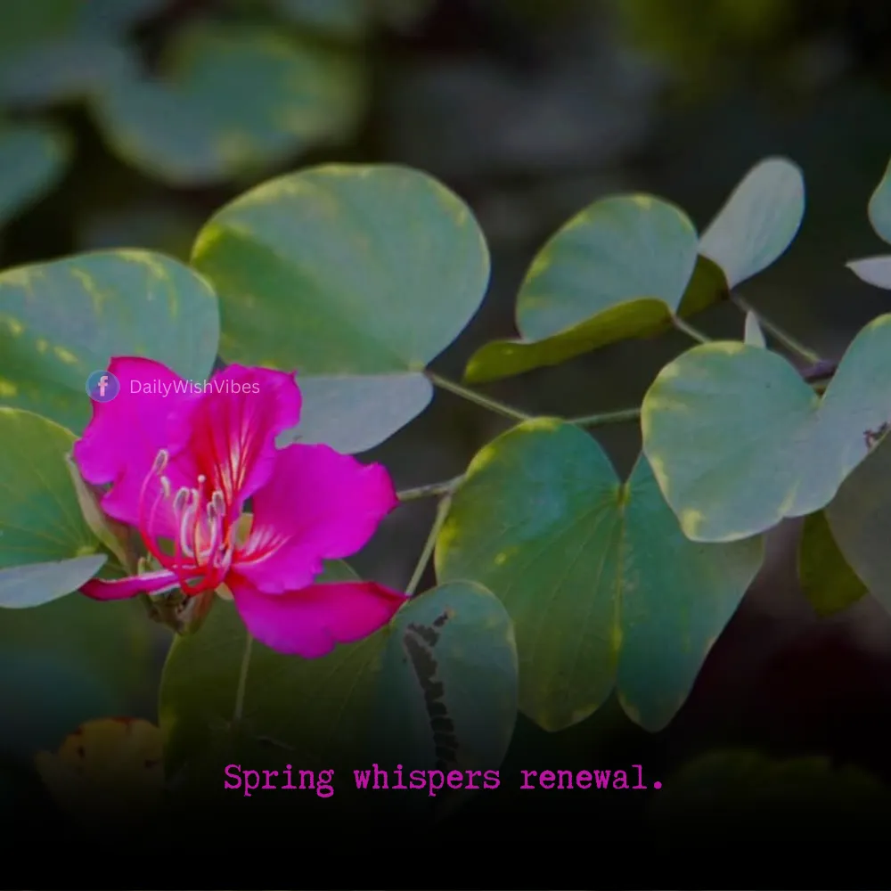 spring season quotes 13 Spring Season Quotes