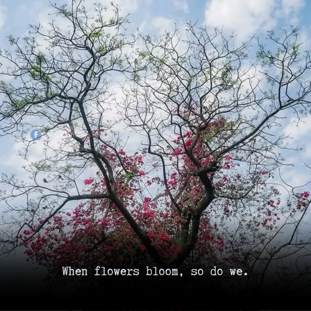 spring season quotes 15 Spring Season Quotes