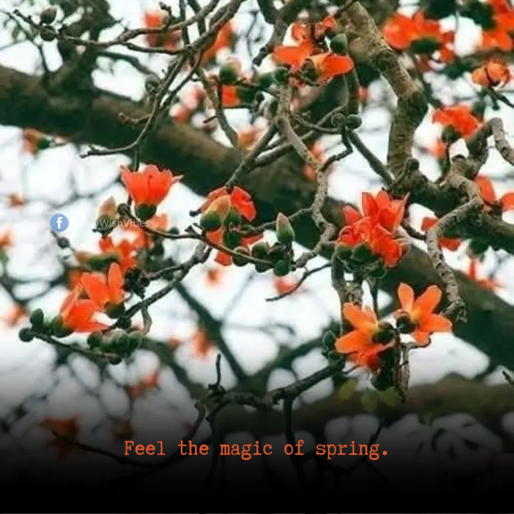 spring season quotes 17 Spring Season Quotes