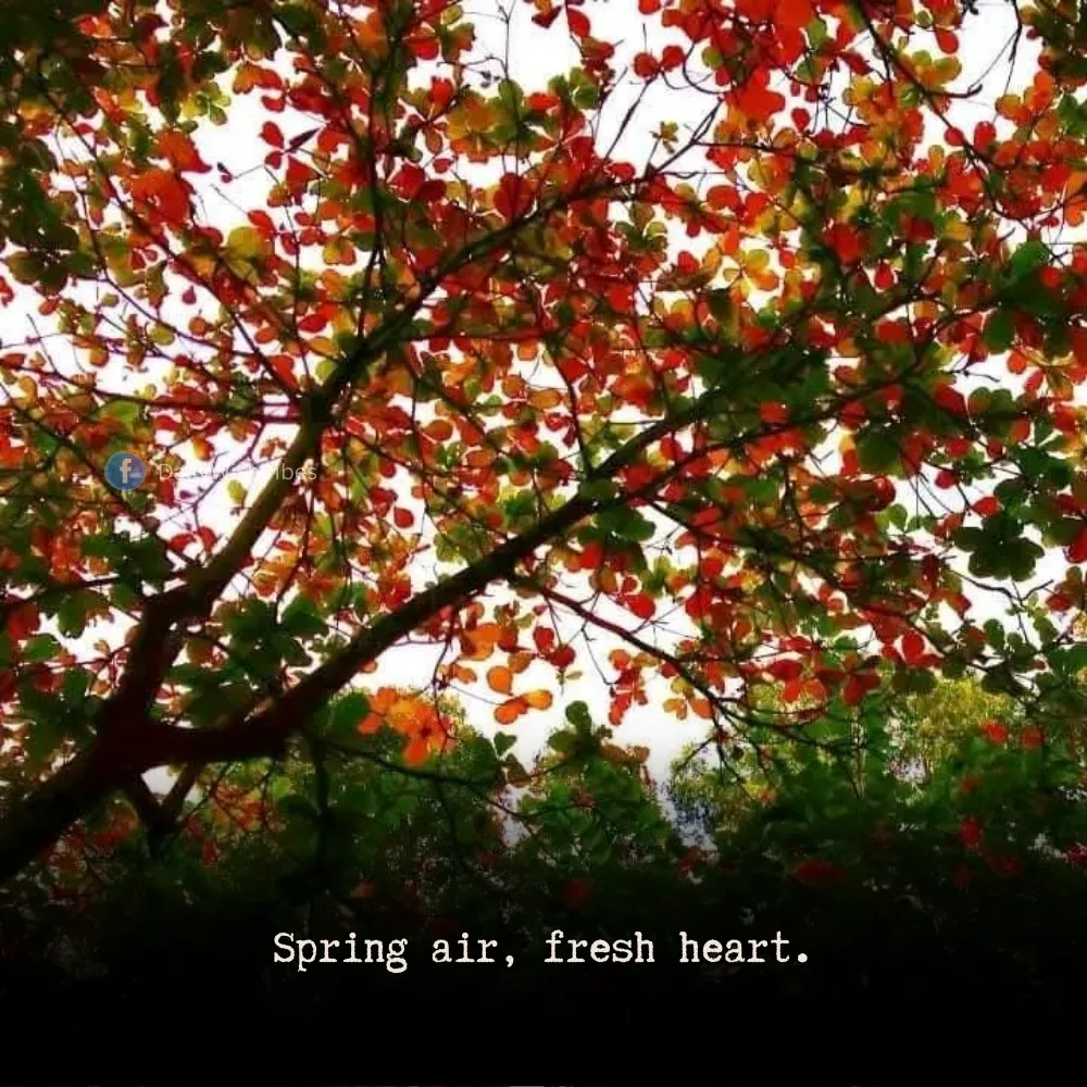 spring season quotes 18 Spring Season Quotes