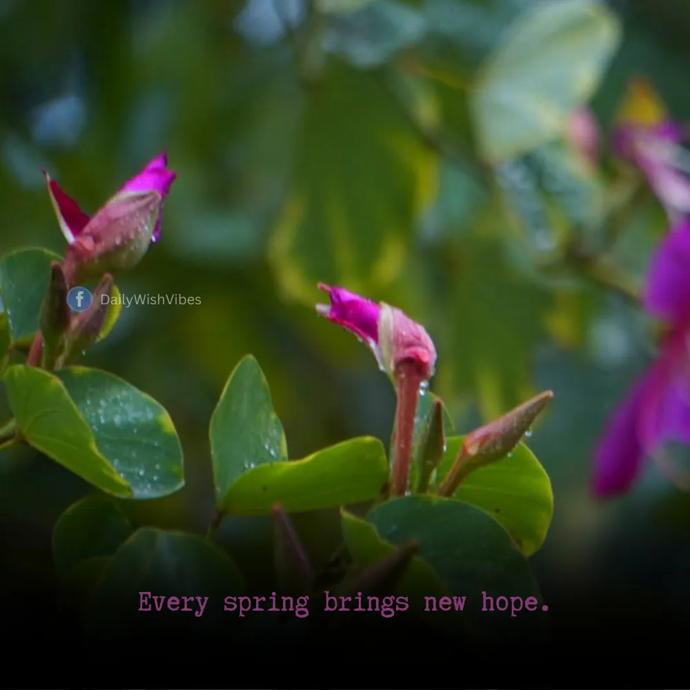 spring season quotes 2 Spring Season Quotes