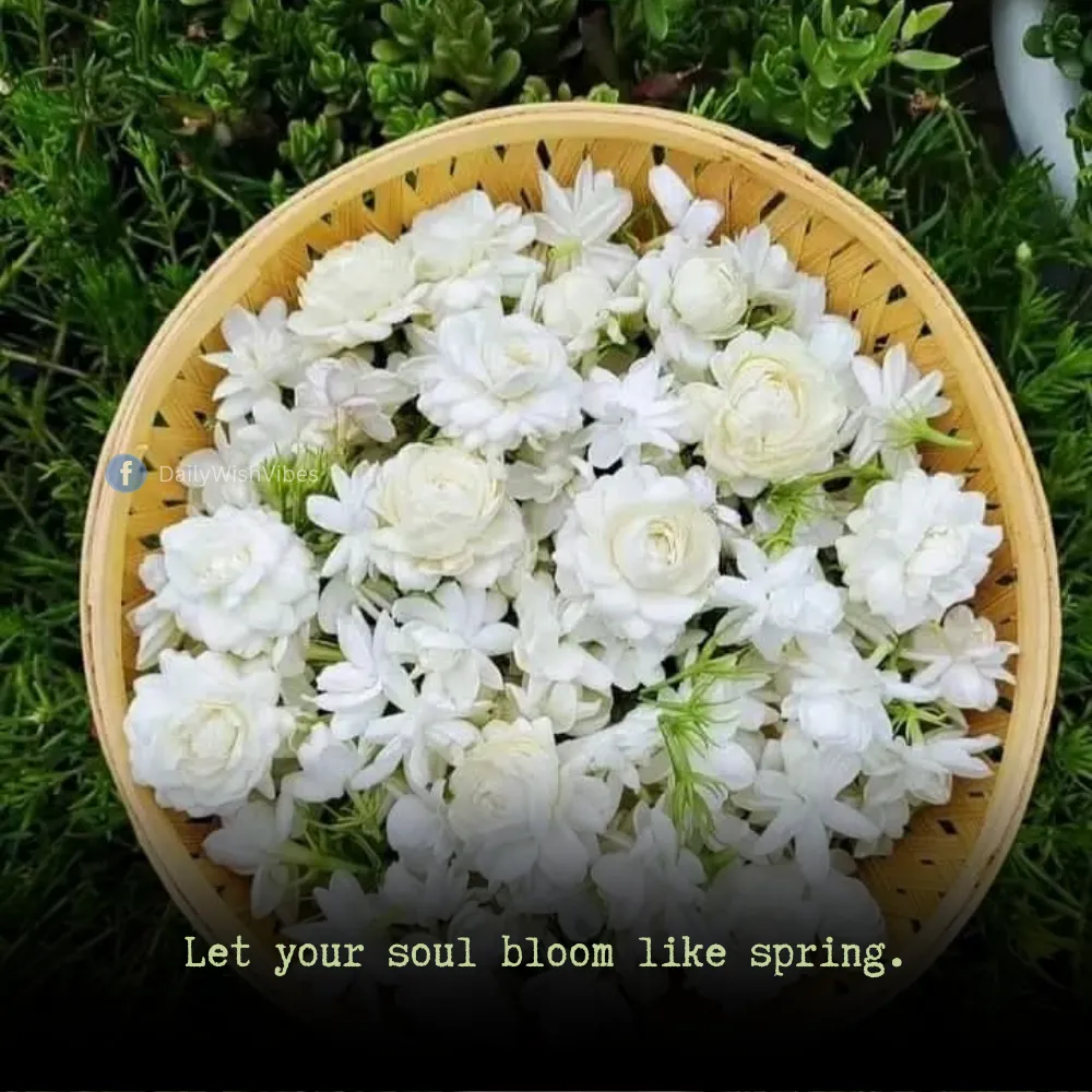 spring season quotes 21 Spring Season Quotes