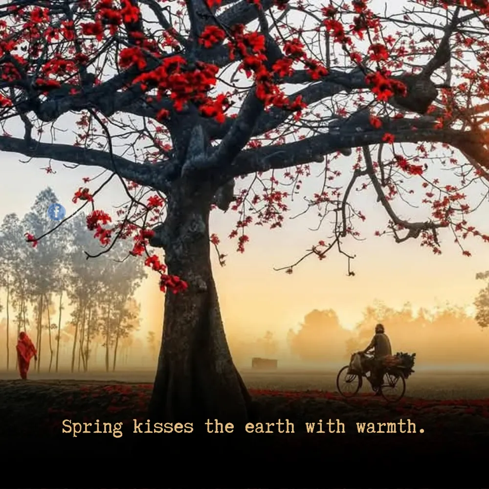 spring season quotes 23 Spring Season Quotes