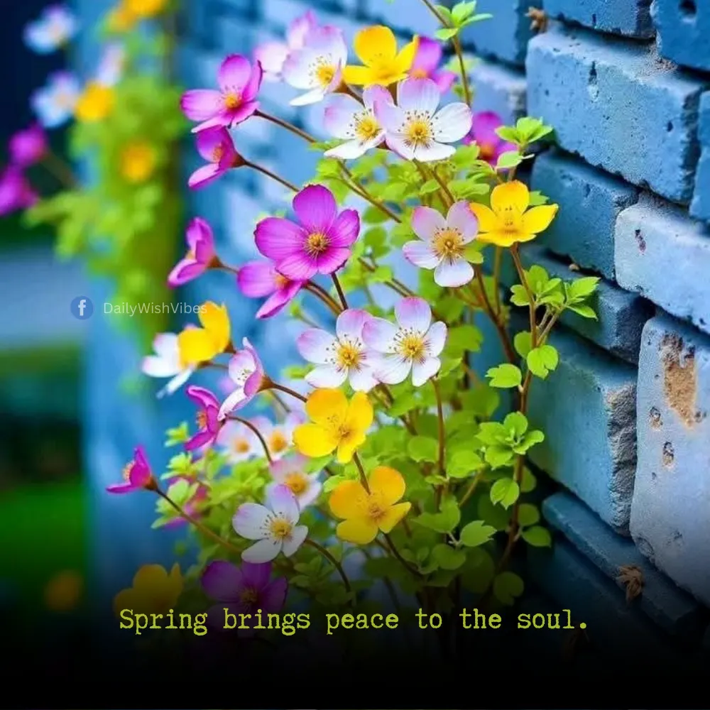 spring season quotes 25 Spring Season Quotes