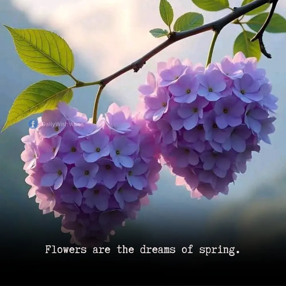 spring season quotes 26 Spring Season Quotes