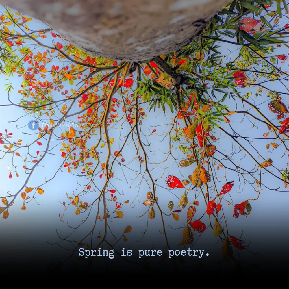 spring season quotes 27 Spring Season Quotes