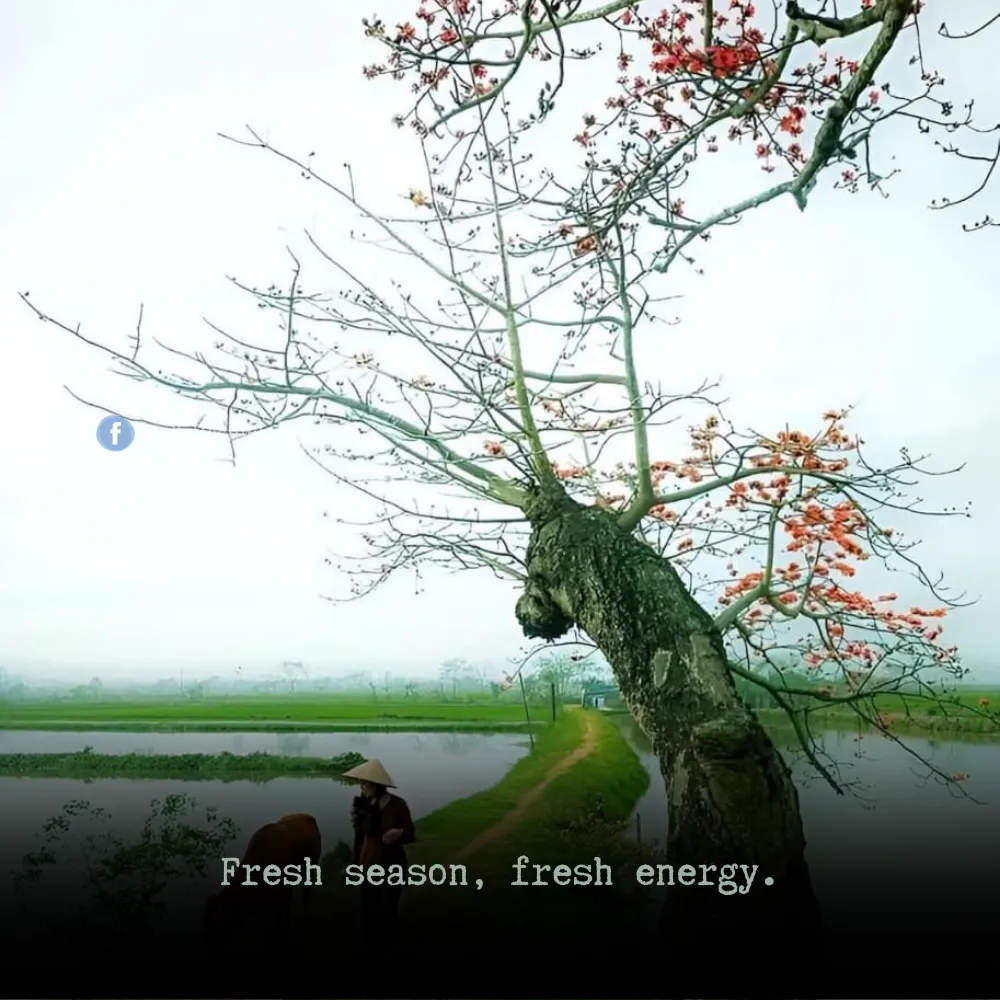 spring season quotes 28 Spring Season Quotes