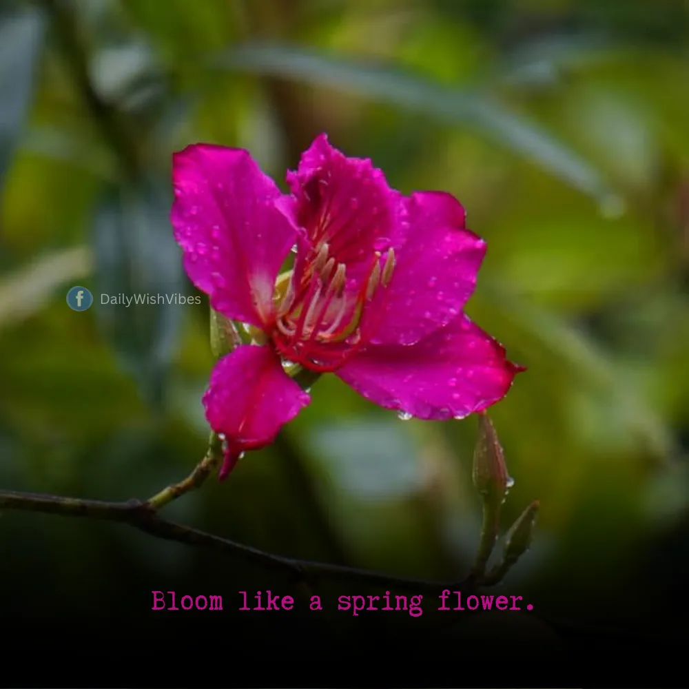 spring season quotes 3 Spring Season Quotes