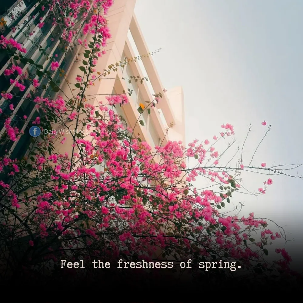 spring season quotes 34 Spring Season Quotes