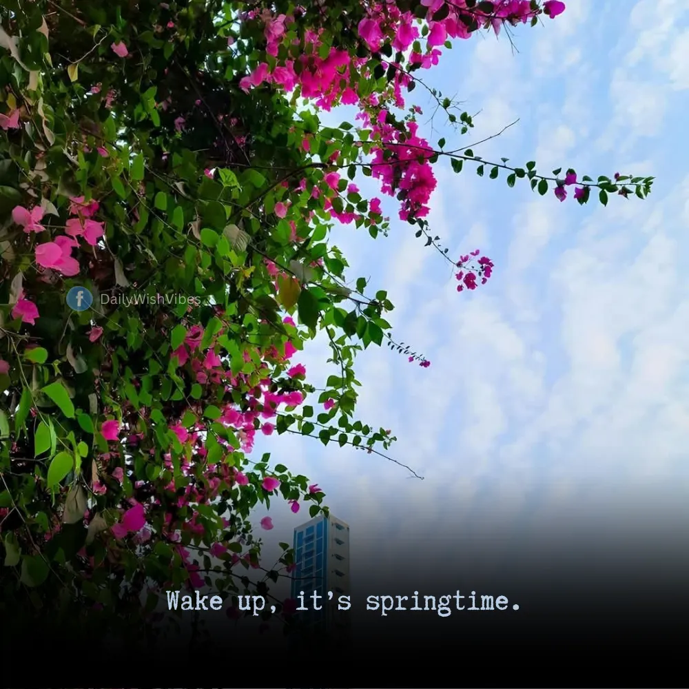 spring season quotes 36 Spring Season Quotes