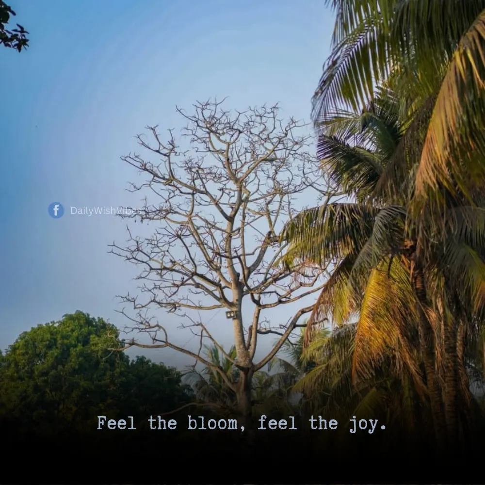 spring season quotes 38 Spring Season Quotes