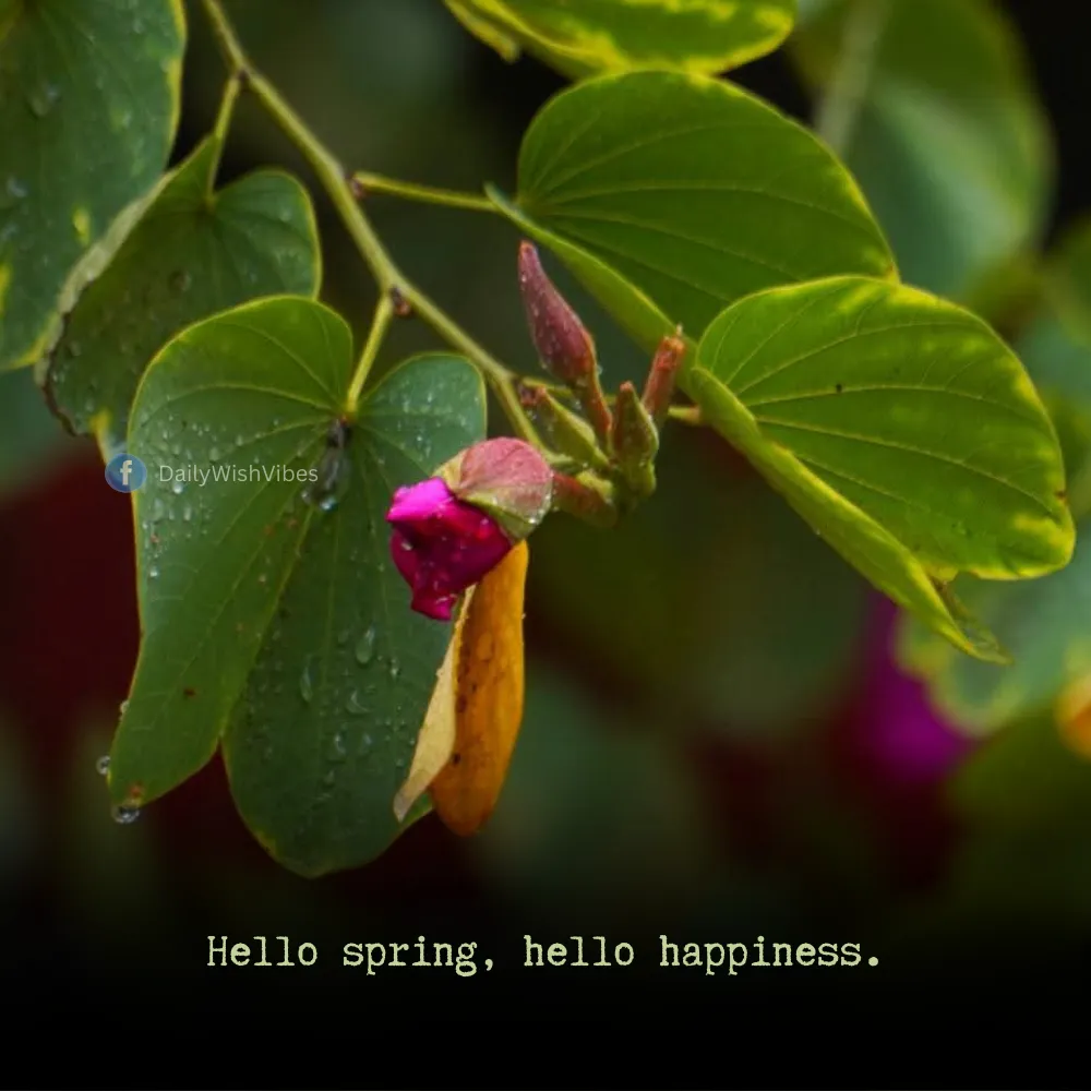 spring season quotes 4 Spring Season Quotes